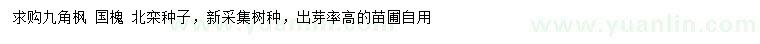 求购九角枫种子、国槐种子、北栾种子