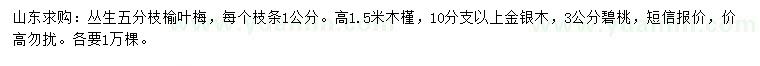 求购丛生榆叶梅、木槿、金银木等