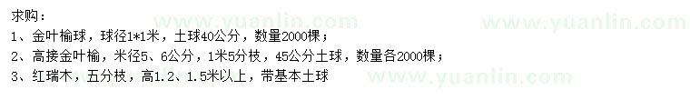 求购金叶榆球、高接金叶榆、红瑞木等