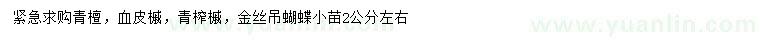 求购青檀、血皮槭、青榨槭等