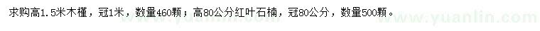 求购高1.5米木槿、80公分红叶石楠