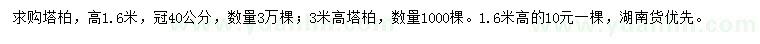 求购高1.6、3米塔柏