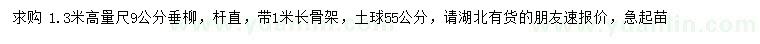 求购1.3米量9公分垂柳