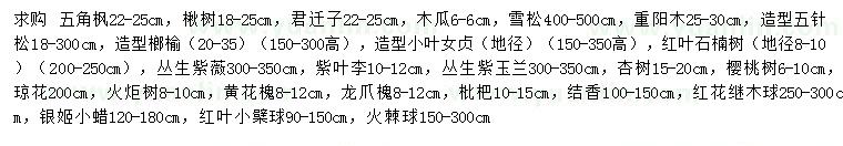 求购五角枫、楸树、君迁子等