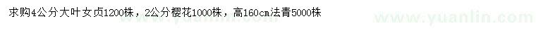 求购大叶女贞、樱花、法青