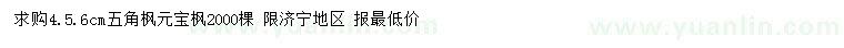 求购4、5、6公分五角枫 、元宝枫