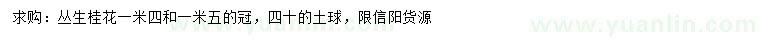 求购冠幅1.4、1.5米丛生桂花