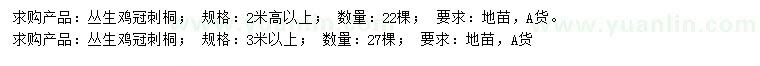 求购高2、3米以上鸡冠刺桐