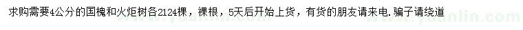 求购4公分国槐、火炬树