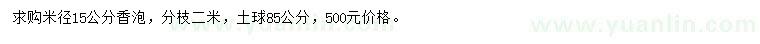 求购米径15公分香泡