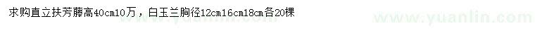 求购高40公分扶芳藤、胸径12公分白玉兰