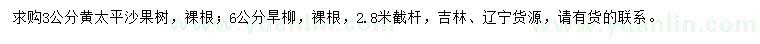 求购3公分沙果树、6公分旱柳