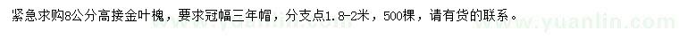 求购8公分高接金叶槐