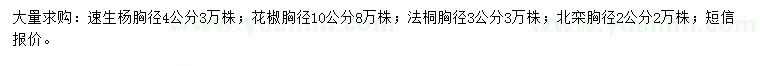 求购速生杨、花椒、法桐等