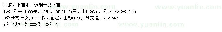 求购法桐、女贞、紫叶李等