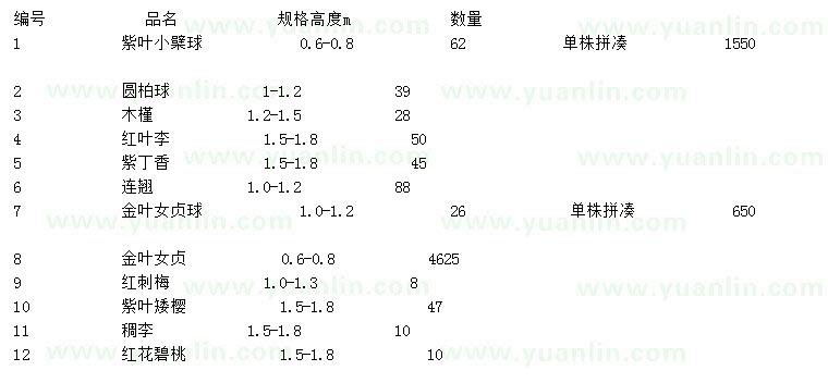 求购紫叶小檗球、圆柏球、木槿等