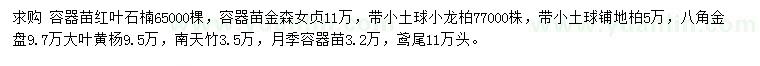 求购红叶石楠、金森女贞、铺地柏等