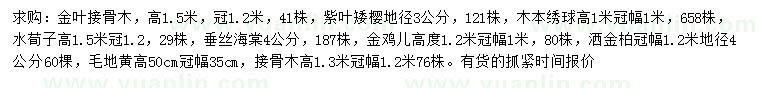 求购金叶接骨木、紫叶矮樱、木本绣球等