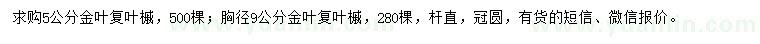 求购胸径5、9公分金叶复叶槭