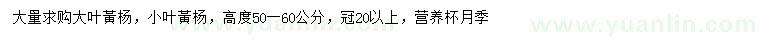 求购大叶黃杨、小叶黃杨、营养杯月季