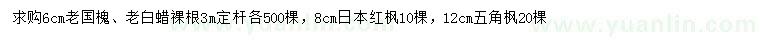 求购老国槐、老白蜡、日本红枫等