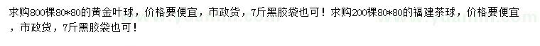 求购80公分黄金叶球、福建茶球