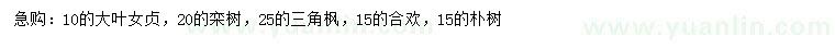 求购大叶女贞、栾树、三角枫等