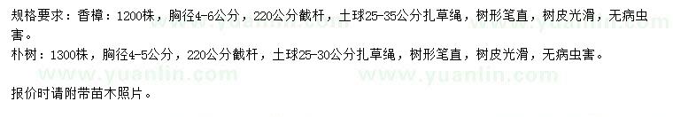 求购胸径4-6公分香樟、4-5公分朴树