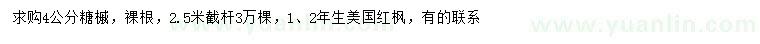 求购4公分糖槭、1、2年生美国红枫