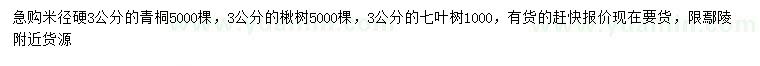 求购青桐、楸树、七叶树