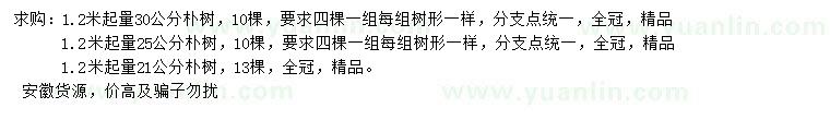 求购1.2米起量21、25、30公分朴树