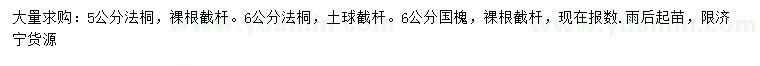 求购5、6公分法桐、6公分国槐