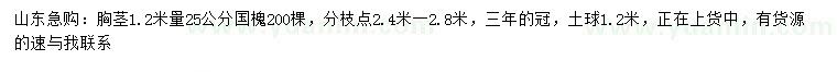 求购1.2米量25公分国槐