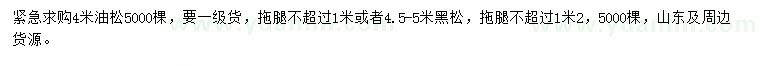 求购4米油松、4.5-5米黑松