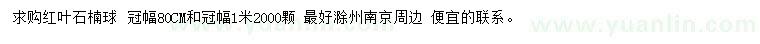 求购冠80、100公分红叶石楠球