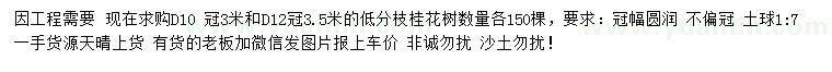 求购地径10、12公分桂花