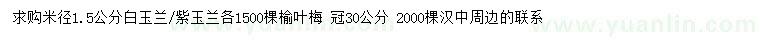 求购白玉兰、紫玉兰、榆叶梅