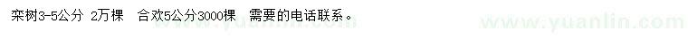 求购3-5公分栾树、5公分合欢