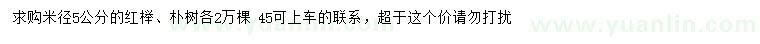 求购5公分红榉、朴树