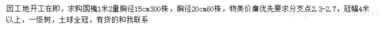 求购胸径15、20公分国槐