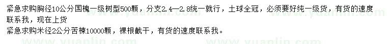 求购胸径10公分国槐、米径2公分苦楝