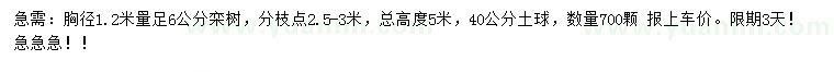 求购胸径1.2米量足6公分栾树