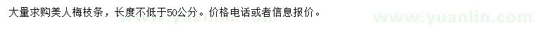 求购长度不低于50公分美人梅枝条