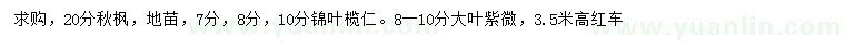 求购20公分秋枫、锦叶榄仁、大叶紫微