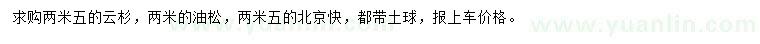 求购云杉、油松、北京桧