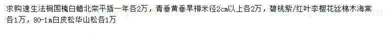 求购速生法桐、国槐、白蜡等