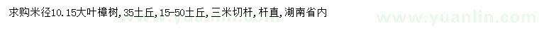 求购米径10、15公分大叶樟树