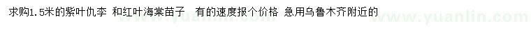 求购1.5米紫叶稠李、红叶海棠