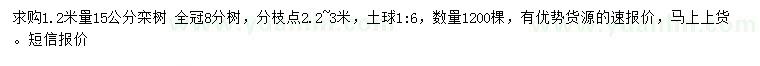 求购1.2米量15公分栾树