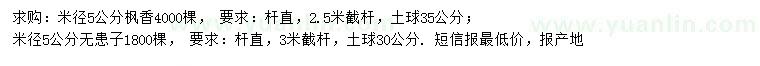 求购米径5公分枫香、无患子